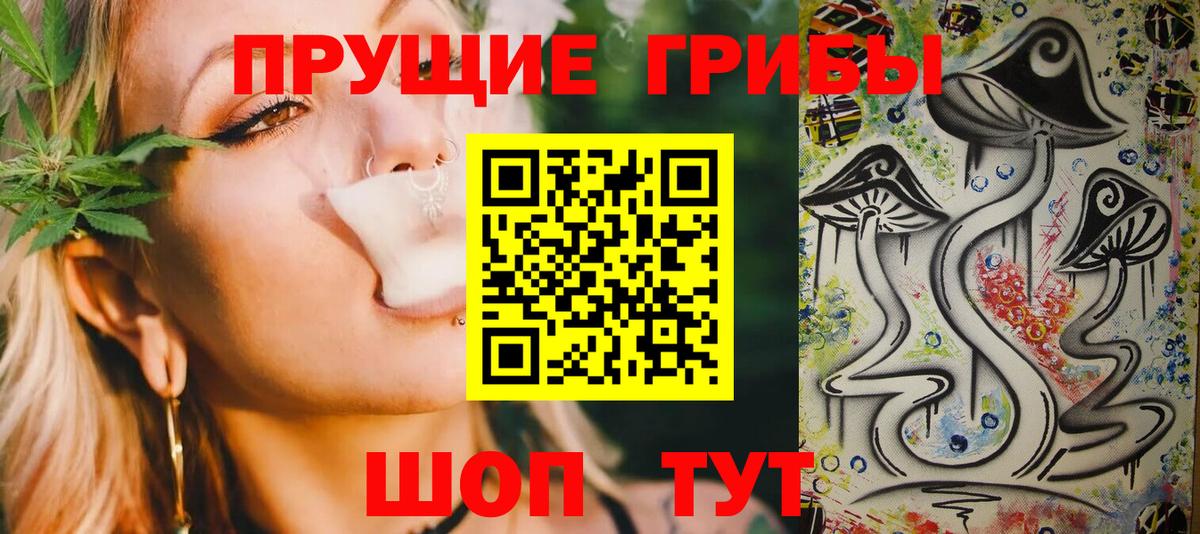 Галлюциногенные грибы Psilocybine cubensis Новосибирск